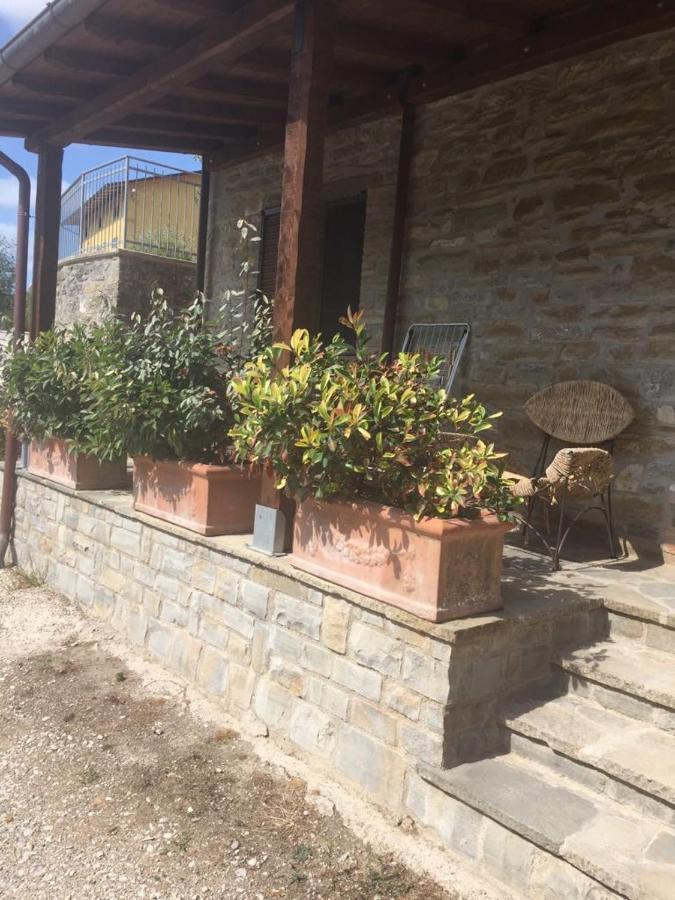 Agriturismo Cailuca Pietralunga  Luaran gambar