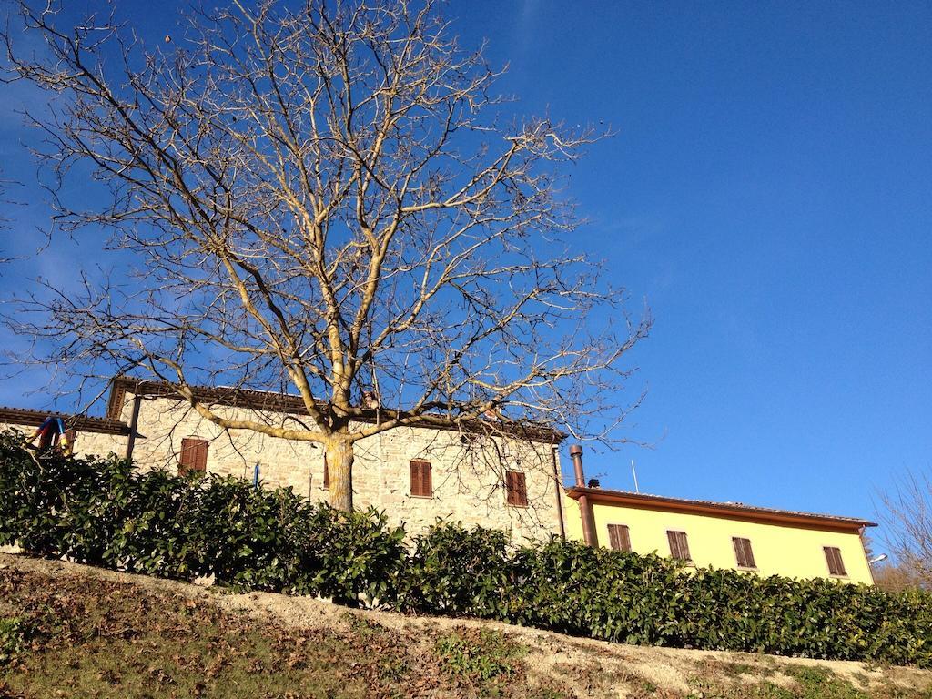 Agriturismo Cailuca Pietralunga  Luaran gambar