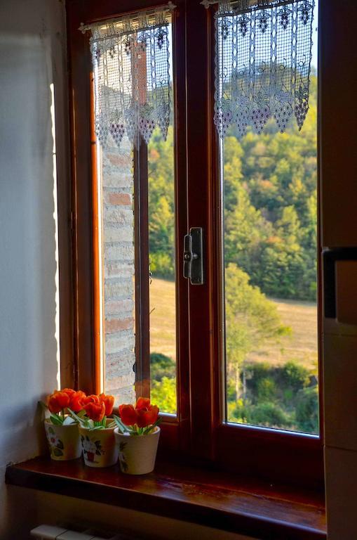 Agriturismo Cailuca Pietralunga  Bilik gambar
