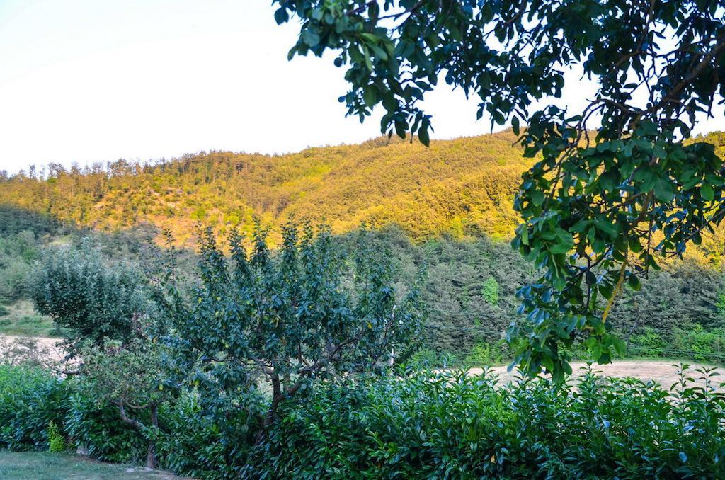 Agriturismo Cailuca Pietralunga  Luaran gambar